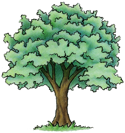 treegenealogymid